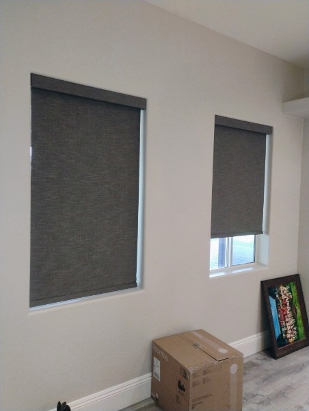 Two charcoal roller shades installed side by side in a home living space