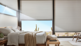 Blinds vs Shades vs Shutters: What’s Best for Your Home?