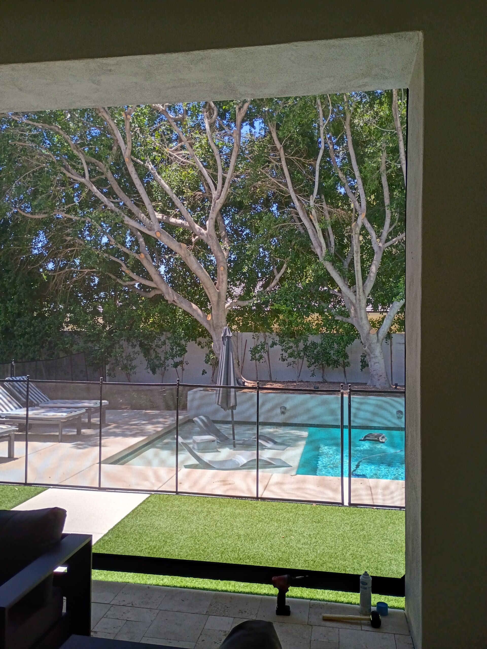View from inside a home looking out through a patio shade opening toward a backyard pool and tree